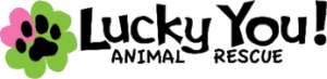 Lucky You Animal Rescue