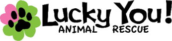 Lucky You Animal Rescue