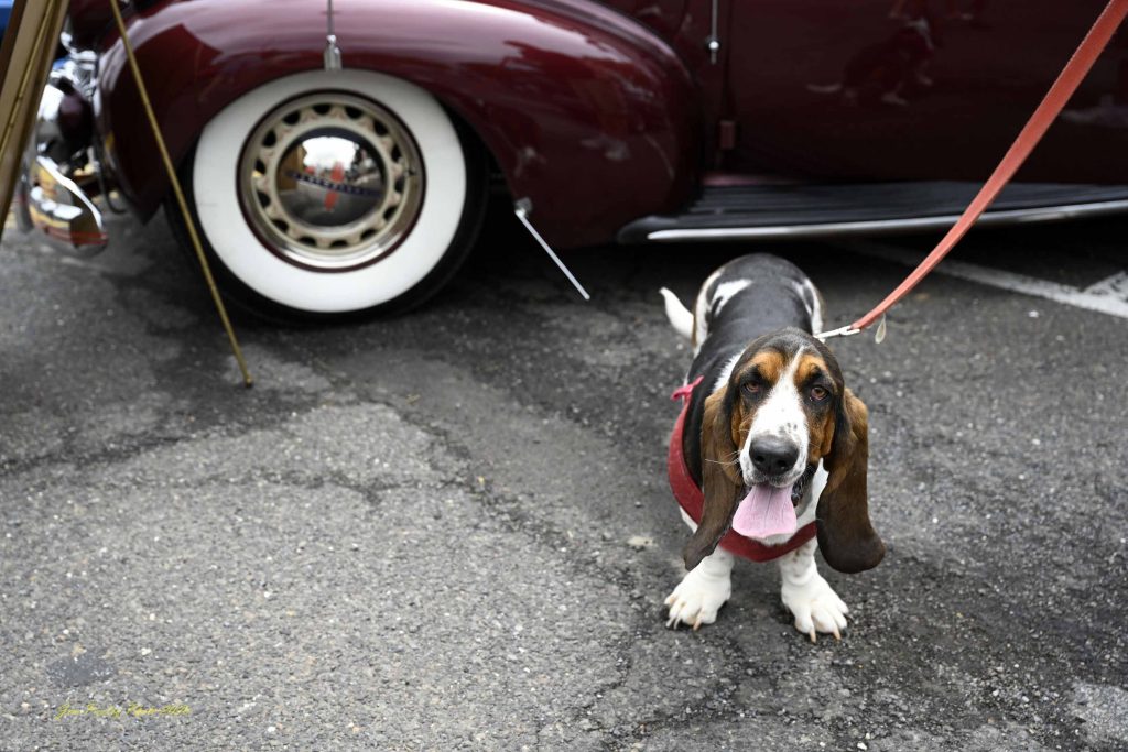 2026 Classic Car Show event photo