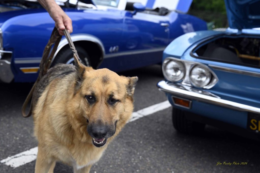 2026 Classic Car Show event photo